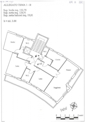 TEMA IUNIOR - ESAME DI STATO - ORIENTA EDIZIONI FORMAZIONE